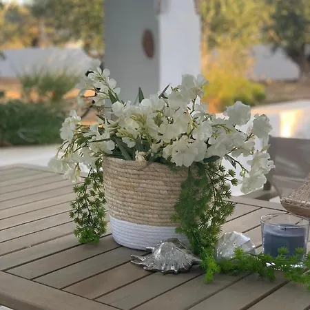 Apartment Chrisantakis Appartments *