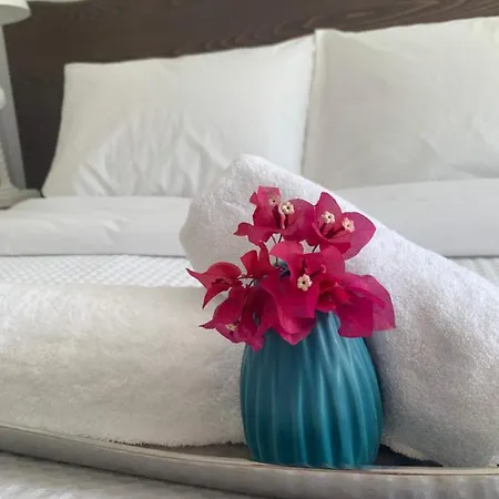 Apartment Chrisantakis Appartments Drios