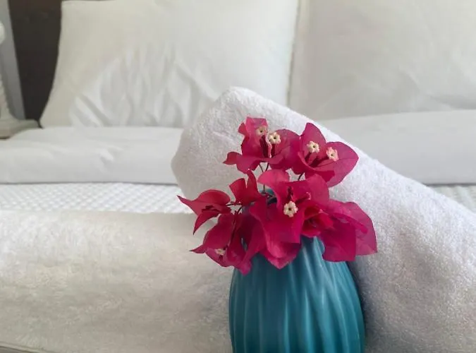 Daire Chrisantakis Appartments Drios