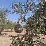 דירה Chrisantakis Appartments דריוס