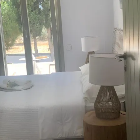 Chrisantakis Appartments Drios