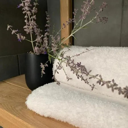 Chrisantakis Appartments アパート ドリオス