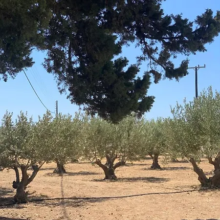 Chrisantakis Appartments アパート