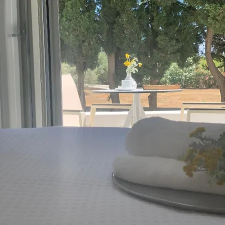 Chrisantakis Appartments アパート ドリオス