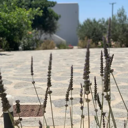 Διαμέρισμα Chrisantakis Appartments *