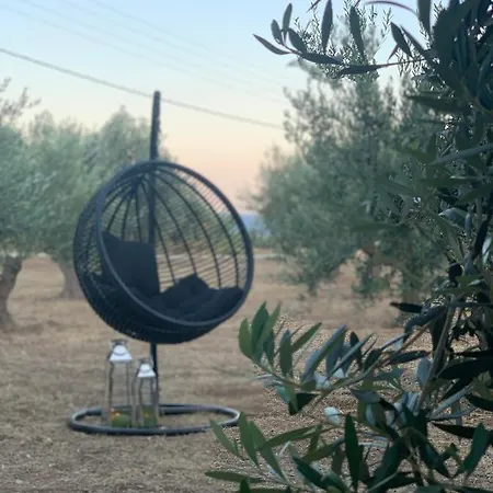 Chrisantakis Appartments