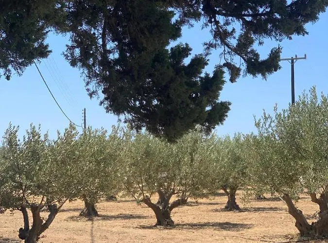 Chrisantakis Appartments Lägenhet