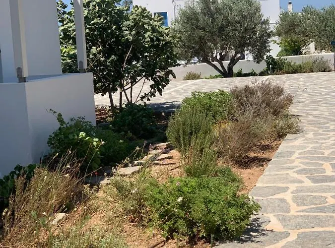 Chrisantakis Appartments Lägenhet Drios